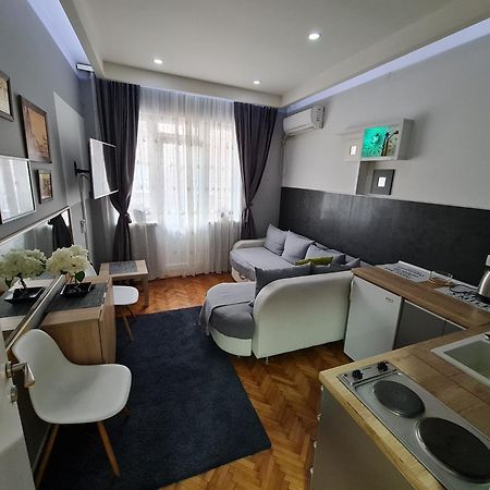 Nikola Tesla City Walk Apartment นิส ห้อง รูปภาพ