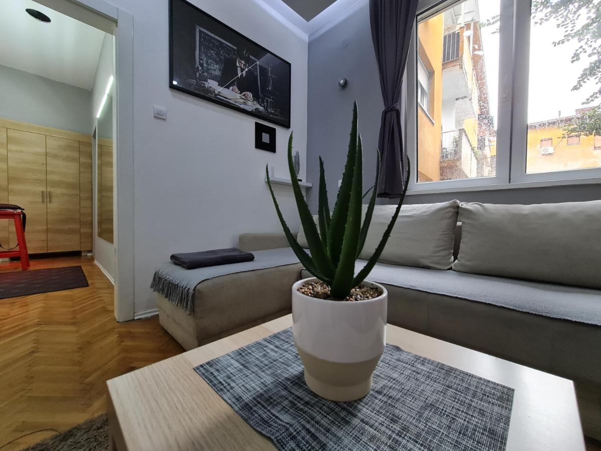 Nikola Tesla City Walk Apartment นิส ภายนอก รูปภาพ